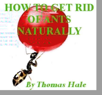 Product picture How To Get Rid of Ants Naturally